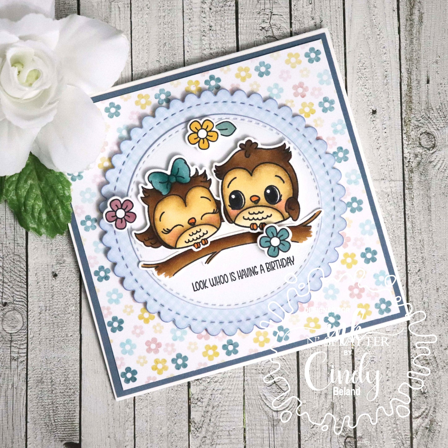 Owl-Some Owls Stamp Set