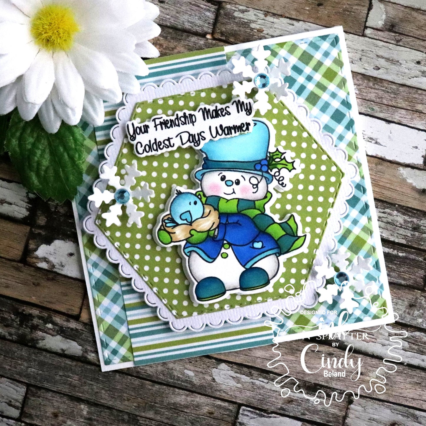 Snow Bird Snowman Clear Stamp Set